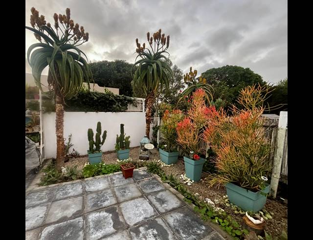 1 bed property to rent in CAPE TOWN